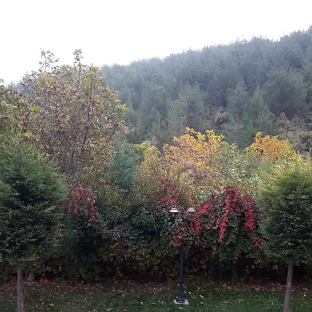 Sindirgi Eman Thermal Ilicali