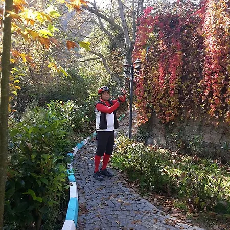 Sindirgi Eman Thermal