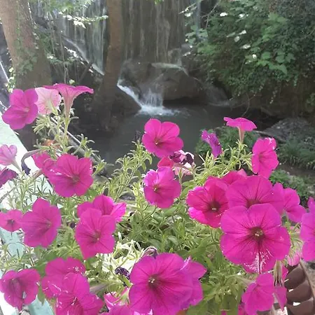Sindirgi Eman Thermal فندق
